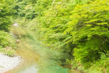 Река Ниёдо вытекает из горы и занимает первое место по чистоте в Японии