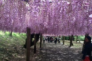 Japan's Most Romantic Spots