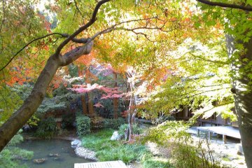 I recommend going into to the backside garden, on the other side of Hondou.