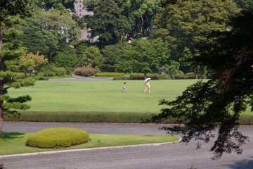 Chiyoda City Ward - Parks & Gardens