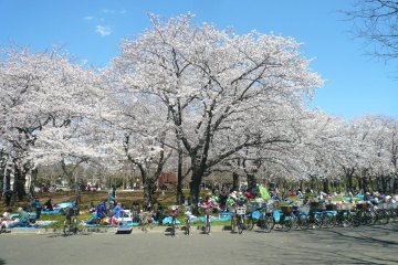 Shinozaki Park
