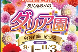 Official flyer for the Dahlia Garden on Mt Ryokami