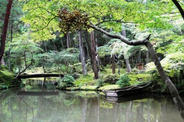 The Moss Garden at Saihoji Temple