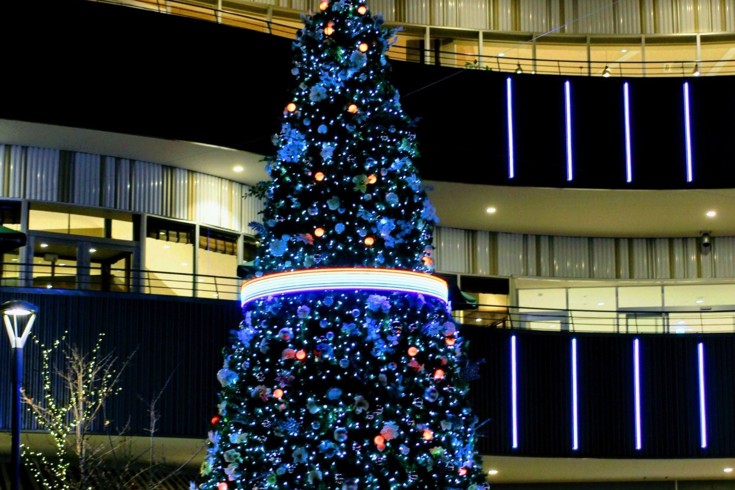 Color changing Christmas Tree at Cocoon City