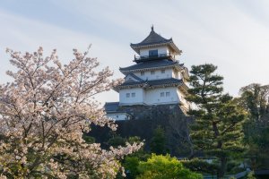 Shizuoka: Top 10 Things to Do
