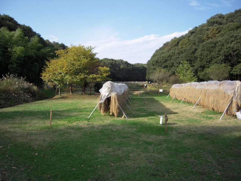 Noyamakita-Rokudohyama Park
