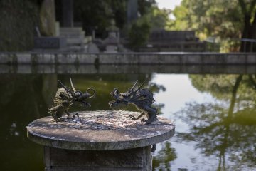 Two dragons rise from a pond and lay surrounded by the coins of those who have wished upon them.