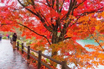 Fall colors at Bishamonnuma Pond