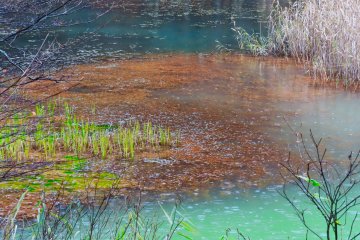 Rust red Midoronuma Pond