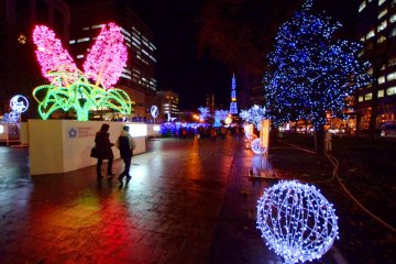Sapporo White Illumination