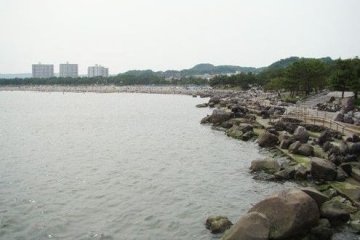 八景岛海滩