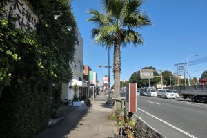 A piece of California with a Palm tree lined street 