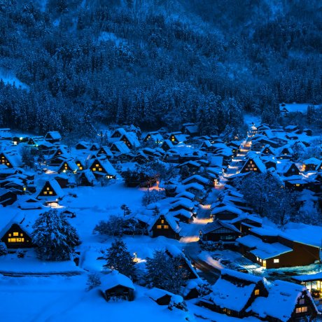 10 Things to Do in Japan During January