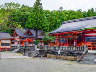 A panoramic photo of the Tono Hachimangu Shrine
