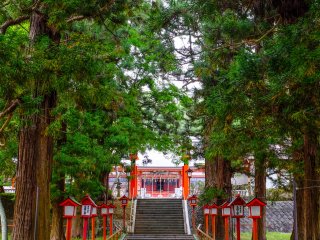 As you pass under the Torii gate, you will immediately feel a sense of serenity as you walk up the long path