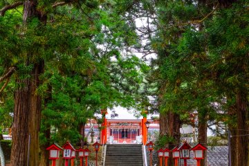 As you pass under the Torii gate, you will immediately feel a sense of serenity as you walk up the long path