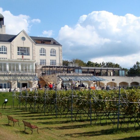 Naka Izu Winery Chateau T.S.