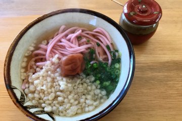 The dish to order here is pink ume udon, with an extra large umeboshi on top
