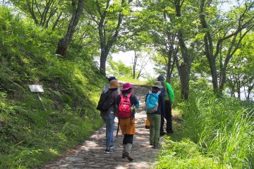 On a guided Forest Therapy walk in Yoshino, Nara Prefecture