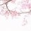 5 of Shikoku's Top Cherry Blossom Spots