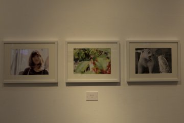 The photography on display ranged from digital to film and colour to black and white