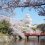 5 of Kansai's Top Cherry Blossom Spots