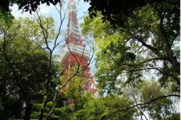 芝公园窥视东京铁塔