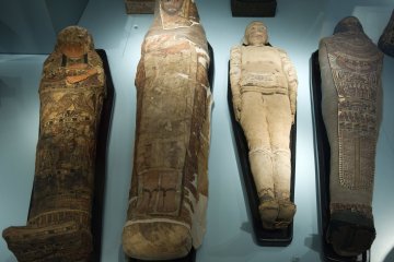Mummies of the World Exhibition