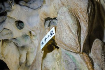 В пещере содержится слой со времен середины палеозойской эры, что указывает на возраст в 350 миллионов лет, а еще когда-то пещера находилась на 50-метровой глубине в море