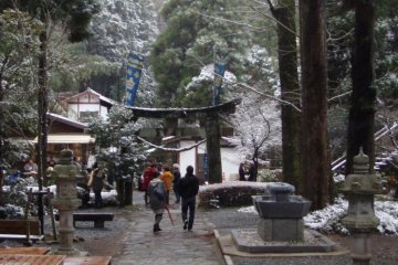 Shirakawa Spring