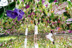 Floating Flowers: Latest 3D Garden Exhibition From TeamLab Planets