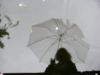 Популярный прозрачный зонт