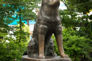 The monument to Hachiko in Shibuya