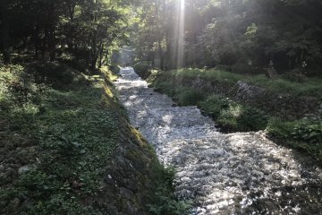 Река Усибусэ в летний день