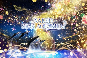 Naked Star Aquarium 2021