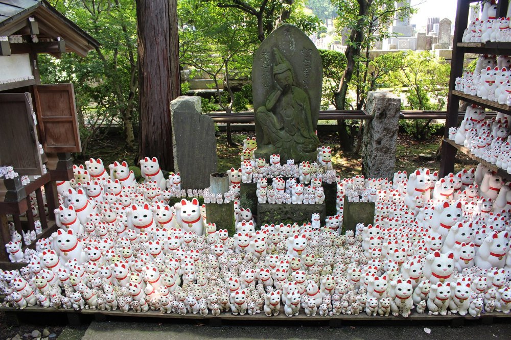 Готокудзи - храм Манэки нэко
