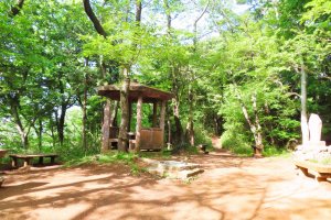 Your first rest stop while hiking Mt. Azuma
