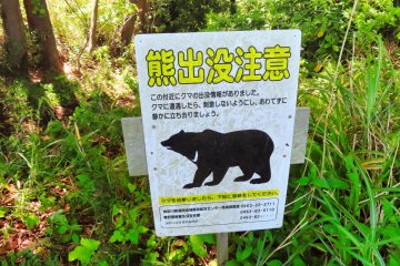 Make noise and beware of bears