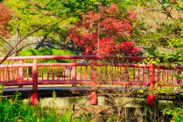 Dec 8th;  Red Bridge, Oike Park