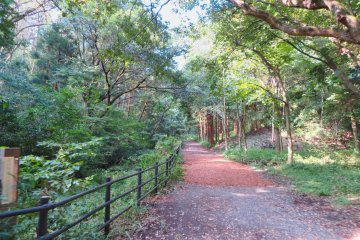 Sept 26th; Trail at Oike Park