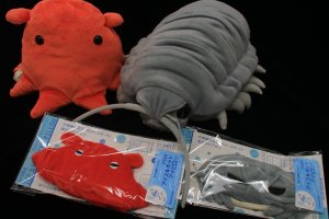 Shinagawa Deep Sea Creatures Exhibition