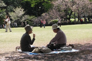 Пикник в парке Синдзюку гёэн