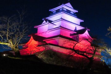 Tsurugajo Castle at night