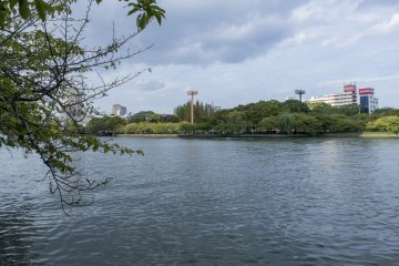 Enjoying the Okawa River on the walk to the gallery is the perfect way to arrive