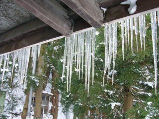 Icicles hanging from eaves