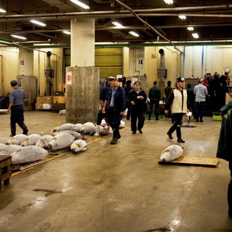Pelelangan Tuna di Pasar Ikan Tsukiji