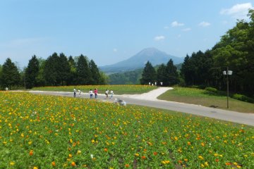 Tottori Flower Park with Mount Daisen as a backdrop