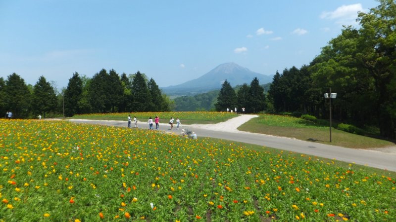 Tottori Flower Park with Mount Daisen as a backdrop