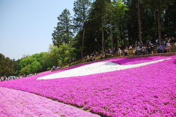 Hitsujiyama Park