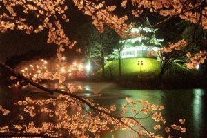Takada Castle framed by sakura after dark